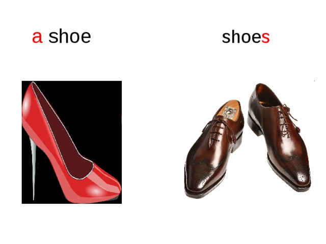 a shoe shoe s 