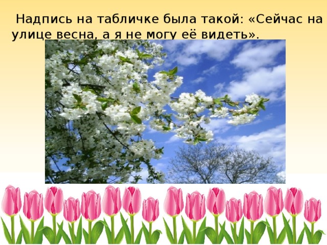  Надпись на табличке была такой: «Сейчас на улице весна, а я не могу её видеть». 