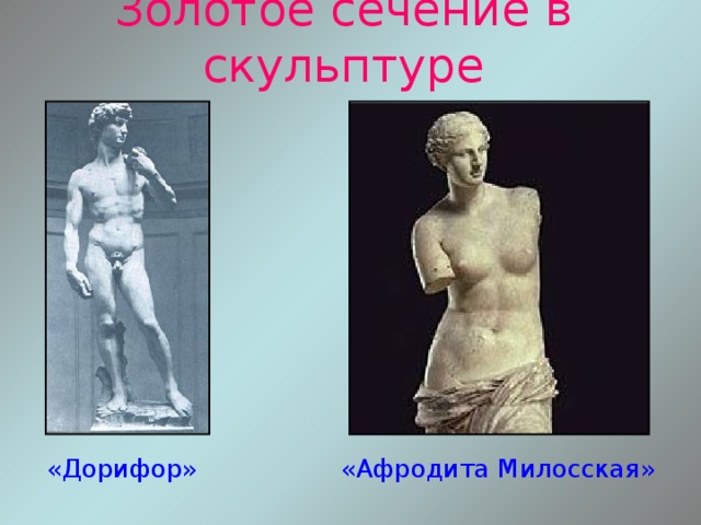 Золотое сечение в скульптуре  «Дорифор» «Афродита Милосская» 
