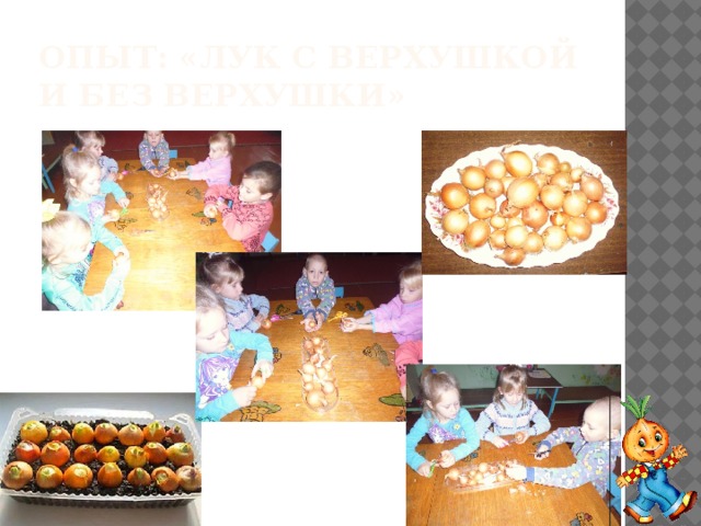 Опыт: «лук с верхушкой и без верхушки» 