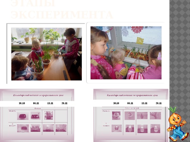 Этапы эксперимента  30.10  30.10     06.11 06.11   13.11 13.11 20.11 20.11 