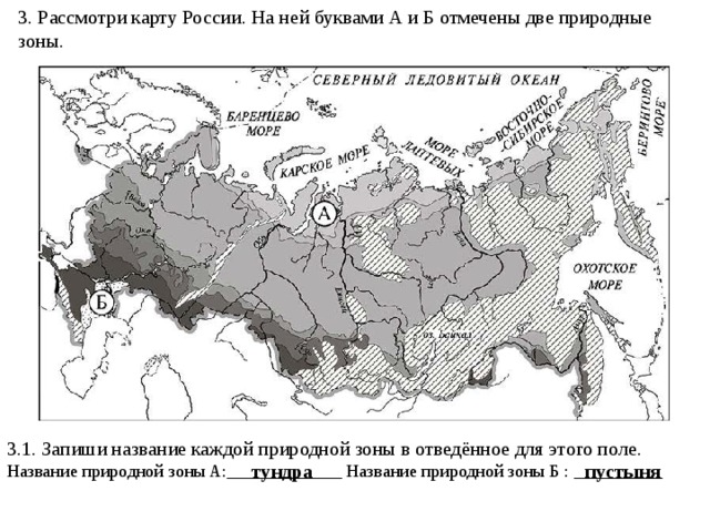 3. Рассмотри карту России. На ней буквами А и Б отмечены две природные зоны. 3.1. Запиши название каждой природной зоны в отведённое для этого поле. Название природной зоны A:_____________ Название природной зоны Б : __________ тундра пустыня 