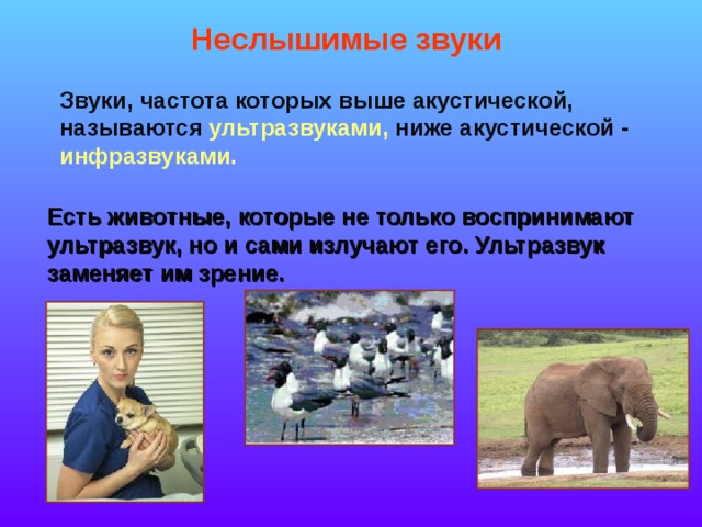 Неслышимые звуки Звуки, частота которых выше акустической, называются ультразвуками, ниже акустической -  инфразвуками.  Есть животные, которые не только воспринимают ультразвук, но и сами излучают его. Ультразвук заменяет им зрение. 