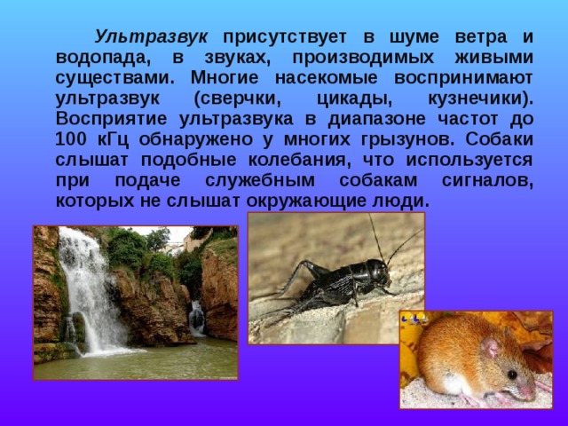  Ультразвук присутствует в шуме ветра и водопада, в звуках, производимых живыми существами. Многие насекомые воспринимают ультразвук (сверчки, цикады, кузнечики). Восприятие ультразвука в диапазоне частот до 100 кГц обнаружено у многих грызунов. Собаки слышат подобные колебания, что используется при подаче служебным собакам сигналов, которых не слышат окружающие люди. 