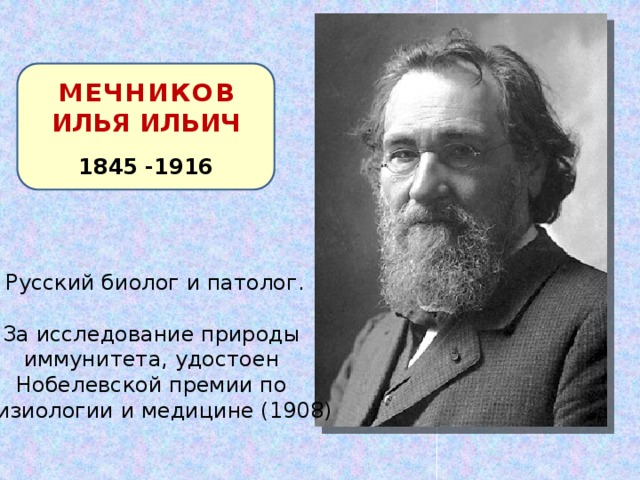 МЕЧНИКОВ ИЛЬЯ ИЛЬИЧ 1845 -1916 Русский биолог и патолог. За исследование природы иммунитета, удостоен Нобелевской премии по физиологии и медицине (1908) 