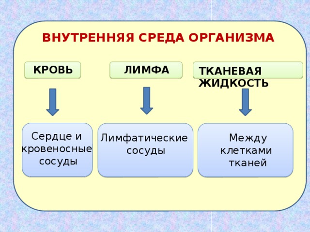 ВНУТРЕННЯЯ СРЕДА ОРГАНИЗМА КРОВЬ ЛИМФА ТКАНЕВАЯ ЖИДКОСТЬ Сердце и кровеносные сосуды Лимфатические Между сосуды клетками тканей 