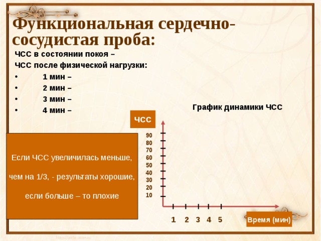 Функциональная сердечно-сосудистая проба: ЧСС в состоянии покоя – ЧСС после физической нагрузки:  1 мин –  2 мин –  3 мин –  4 мин –  График динамики ЧСС ЧСС 90 80 70 60 50 40 30 20 10  Если ЧСС увеличилась меньше,  чем на 1/3, - результаты хорошие, если больше – то плохие Время (мин) 1 2 3 4 5 
