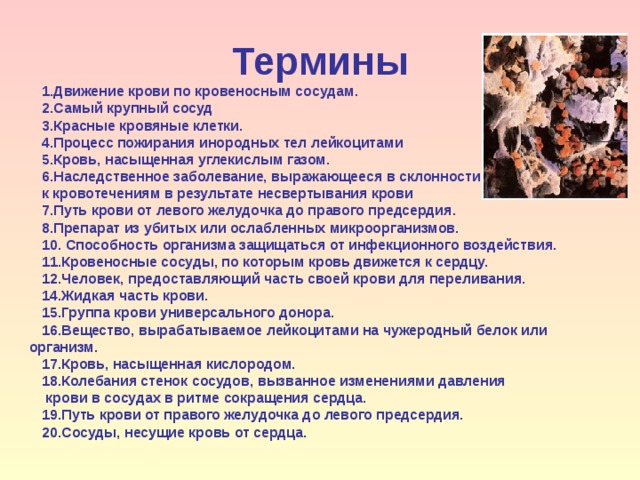 Термины 1.Движение крови по кровеносным сосудам. 2.Самый крупный сосуд 3.Красные кровяные клетки. 4.Процесс пожирания инородных тел лейкоцитами 5.Кровь, насыщенная углекислым газом. Наследственное заболевание, выражающееся в склонности к кровотечениям в результате несвертывания крови 7.Путь крови от левого желудочка до правого предсердия. 8.Препарат из убитых или ослабленных микроорганизмов. 10. Способность организма защищаться от инфекционного воз­действия. 11.Кровеносные сосуды, по которым кровь движется к сердцу. 12.Человек, предоставляющий часть своей крови для перелива­ния. 14.Жидкая часть крови. 15.Группа крови универсального донора. 16.Вещество, вырабатываемое лейкоцитами на чужеродный бе­лок или организм. 17.Кровь, насыщенная кислородом. 18.Колебания стенок сосудов, вызванное изменениями давления  крови в сосудах в ритме сокращения сердца. 19.Путь крови от правого желудочка до левого предсердия. 20.Сосуды, несущие кровь от сердца. 