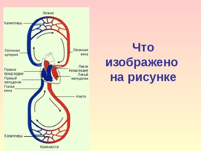  Что изображено  на рисунке 