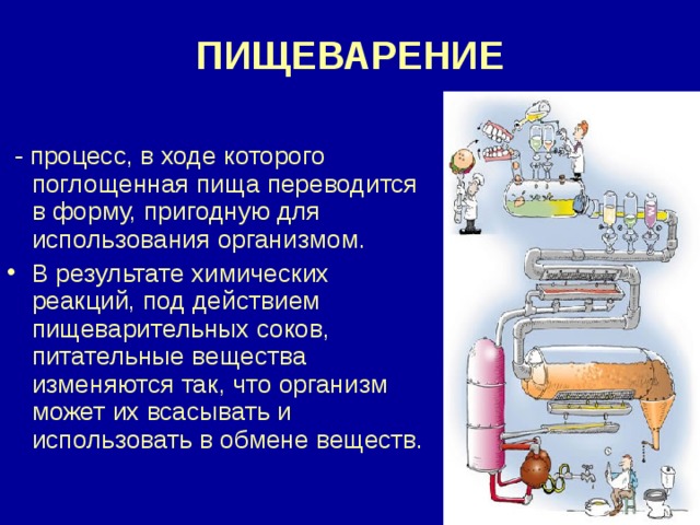 ПИЩЕВАРЕНИЕ  - процесс, в ходе которого поглощенная пища переводится в форму, пригодную для использования организмом. В результате химических реакций, под действием пищеварительных соков, питательные вещества изменяются так, что организм может их всасывать и использовать в обмене веществ. 