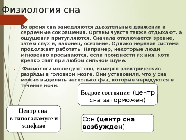 Физиология сна Во время сна замедляются дыхательные движения и сердечные сокращения. Органы чувств также отдыхают, а ощущения притупляются. Сначала отключается зрение, затем слух и, наконец, осязание. Однако нервная система продолжает работать. Например, некоторые люди мгновенно просыпаются, если произнести их имя, хотя крепко спят при любом сильном шуме.  Физиологи исследуют сон, измеряя электрические разряды в головном мозге. Они установили, что у сна можно выделить несколько фаз, которые чередуются в течение ночи.  Бодрое состояние  (центр сна заторможен) Центр сна в гипоталамусе и эпифизе Сон (центр сна возбужден ) 