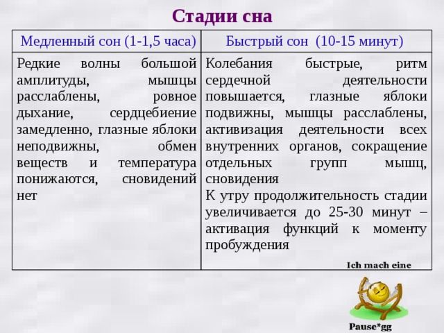 Стадии сна  Медленный сон (1-1,5 часа) Быстрый сон (10-15 минут) Редкие волны большой амплитуды, мышцы расслаблены, ровное дыхание, сердцебиение замедленно, глазные яблоки неподвижны, обмен веществ и температура понижаются, сновидений нет Колебания быстрые, ритм сердечной деятельности повышается, глазные яблоки подвижны, мышцы расслаблены, активизация деятельности всех внутренних органов, сокращение отдельных групп мышц, сновидения К утру продолжительность стадии увеличивается до 25-30 минут – активация функций к моменту пробуждения 