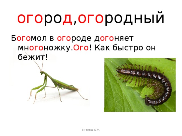 ого ро д , ого родный Б ого мол в ого роде д ого няет мн ого ножку. Ого ! Как быстро он бежит!   Титова А.М. 