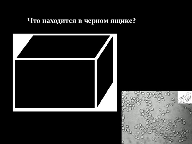 Что находится в черном ящике? 