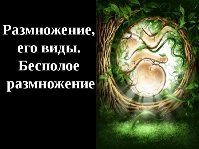 Размножение, его виды. Бесполое  размножение 