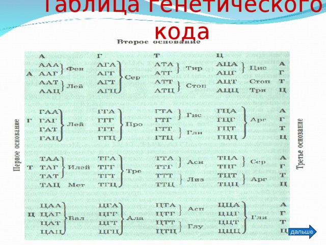 Таблица генетического кода дальше 