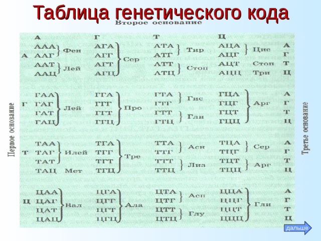 Таблица генетического кода дальше 