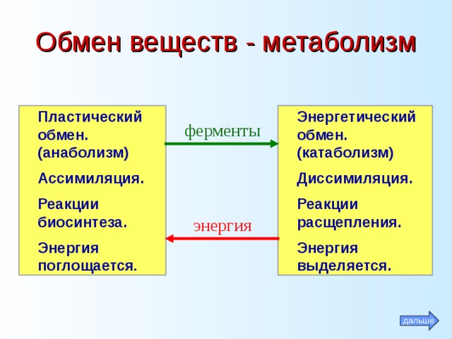 Обмен веществ - метаболизм Пластический обмен. (анаболизм)  Ассимиляция.  Реакции биосинтеза.  Энергия поглощается . Энергетический обмен. (катаболизм)  Диссимиляция.  Реакции расщепления.  Энергия выделяется. ферменты энергия дальше 