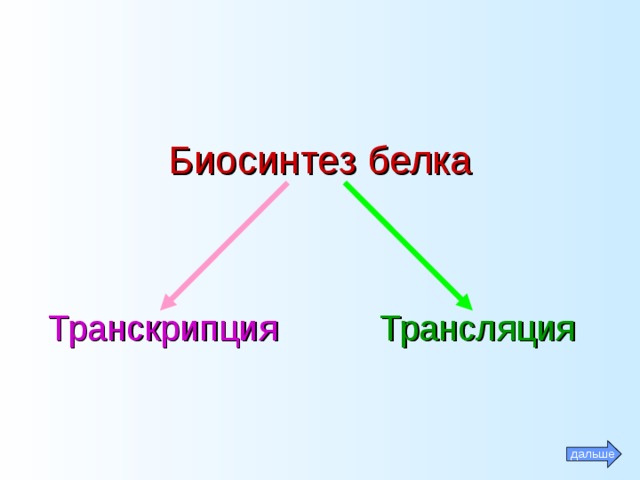 Биосинтез белка Транскрипция Трансляция дальше 