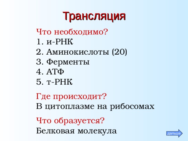 Трансляция Что необходимо? 1. и-РНК 2. Аминокислоты (20) 3. Ферменты 4. АТФ 5. т-РНК  Где происходит? В цитоплазме на рибосомах  Что образуется? Белковая молекула дальше 