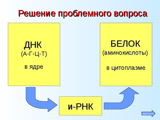 Решение проблемного вопроса ДНК (А-Г-Ц-Т) в ядре БЕЛОК  (аминокислоты) в цитоплазме и-РНК дальше 