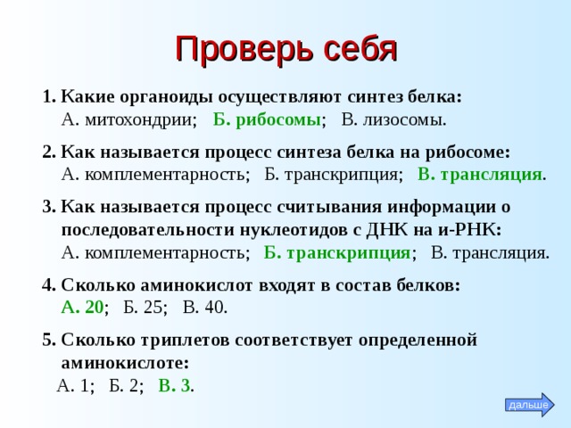 Проверь себя 1. Какие органоиды осуществляют синтез белка:  А. митохондрии;  Б. рибосомы ; В. лизосомы. 2. Как называется процесс синтеза белка на рибосоме:  А. комплементарность; Б. транскрипция; В. трансляция . 3. Как называется процесс считывания информации о  последовательности нуклеотидов с ДНК на и-РНК:  А. комплементарность; Б. транскрипция ; В. трансляция. 4. Сколько аминокислот входят в состав белков:  А. 20 ; Б. 25; В. 40. 5. Сколько триплетов соответствует определенной  аминокислоте:  А. 1; Б. 2; В. 3 . дальше 