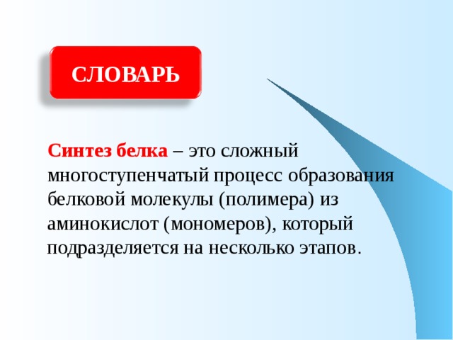 СЛОВАРЬ Синтез белка – это сложный многоступенчатый процесс образования белковой молекулы (полимера) из аминокислот (мономеров), который подразделяется на несколько этапов . 