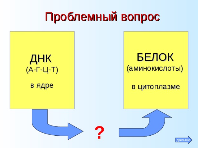 Проблемный вопрос ДНК (А-Г-Ц-Т) в ядре БЕЛОК  (аминокислоты) в цитоплазме ? дальше 