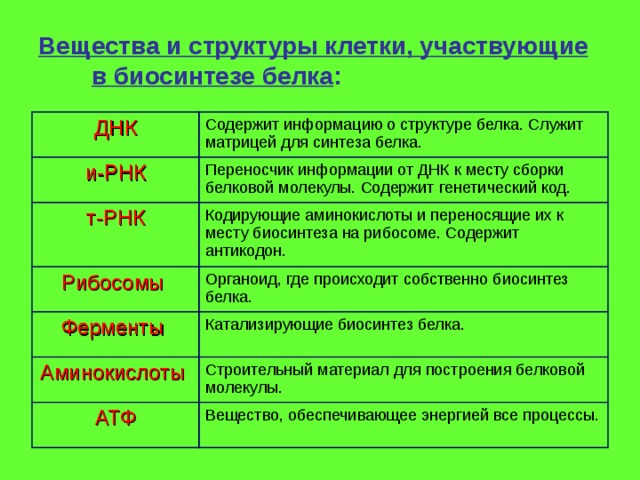 Вещества и структуры клетки, участвующие в биосинтезе белка : ДНК Содержит информацию о структуре белка. Служит матрицей для синтеза белка. и-РНК Переносчик информации от ДНК к месту сборки белковой молекулы. Содержит генетический код. т-РНК Кодирующие аминокислоты и переносящие их к месту биосинтеза на рибосоме. Содержит антикодон. Рибосомы Органоид, где происходит собственно биосинтез белка. Ферменты Катализирующие биосинтез белка. Аминокислоты Строительный материал для построения белковой молекулы. АТФ Вещество, обеспечивающее энергией все процессы. 