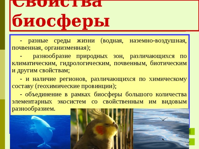 Свойства биосферы - разные среды жизни (водная, наземно-воздушная, почвенная, организменная); - разнообразие природных зон, различающихся по климатическим, гидрологическим, почвенным, биотическим и другим свойствам; - и наличие регионов, различающихся по химическому составу (геохимические провинции); - объединение в рамках биосферы большого количества элементарных экосистем со свойственным им видовым разнообразием. 