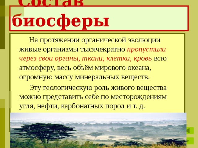  Состав биосферы  На протяжении органической эволюции живые организмы тысячекратно пропустили через свои органы, ткани, клетки, кровь всю атмосферу, весь объём мирового океана, огромную массу минеральных веществ.  Эту геологическую роль живого вещества можно представить себе по месторождениям угля, нефти, карбонатных пород и т. д. 