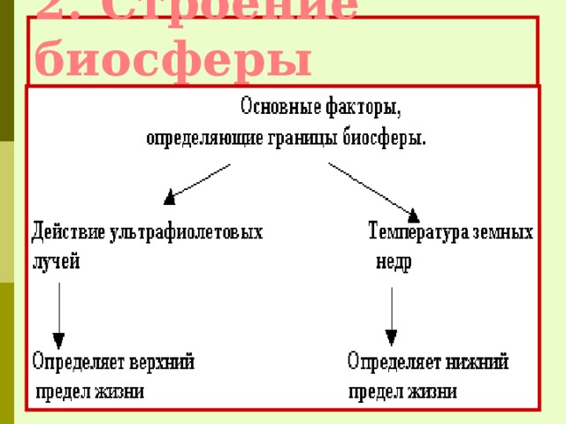 2. Строение биосферы 