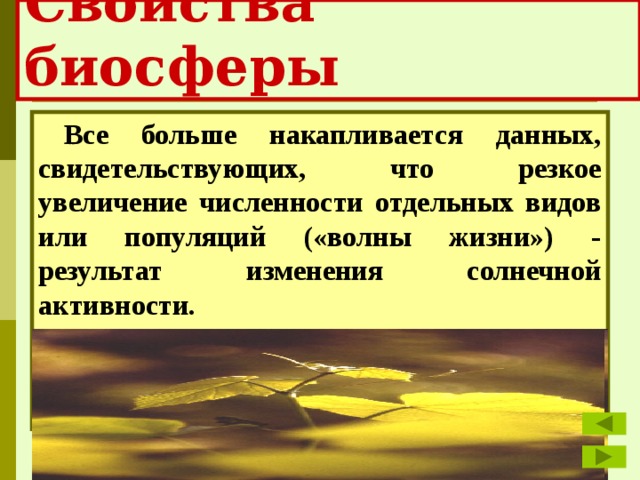 Свойства биосферы Все больше накапливается данных, свидетельствующих, что резкое увеличение численности отдельных видов или популяций («волны жизни») - результат изменения солнечной активности. 