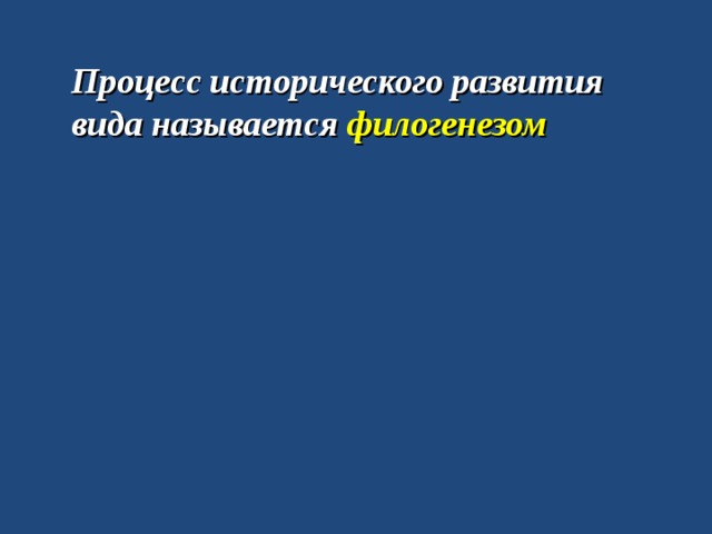 Про­цесс ис­то­ри­че­ско­го раз­ви­тия вида на­зы­ва­ет­ся фи­ло­ге­не­зом 