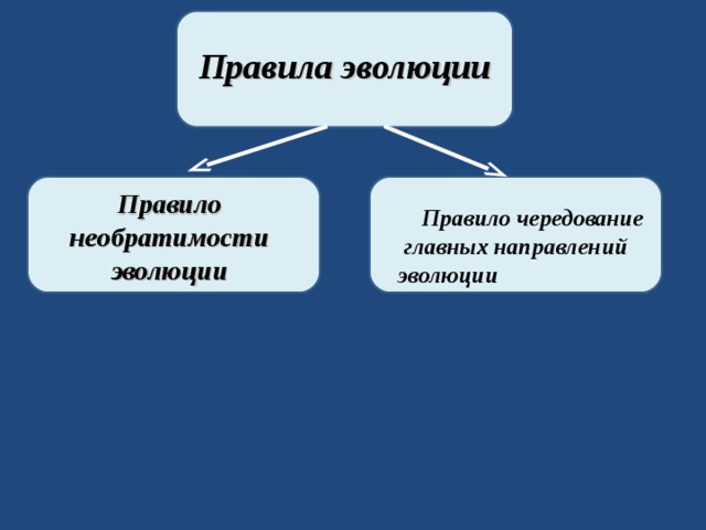 Правила эволюции   Правило чередование главных направлений эволюции Правило необратимости эволюции 