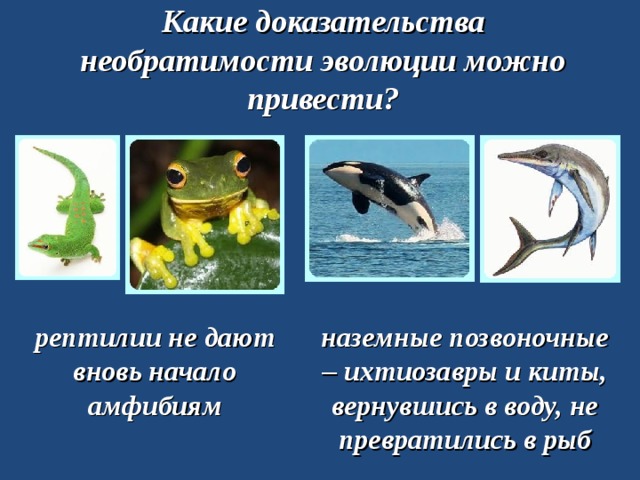 Какие доказательства необратимости эволюции можно привести? рептилии не дают вновь начало амфибиям наземные позвоночные – ихтиозавры и киты, вернувшись в воду, не превратились в рыб 