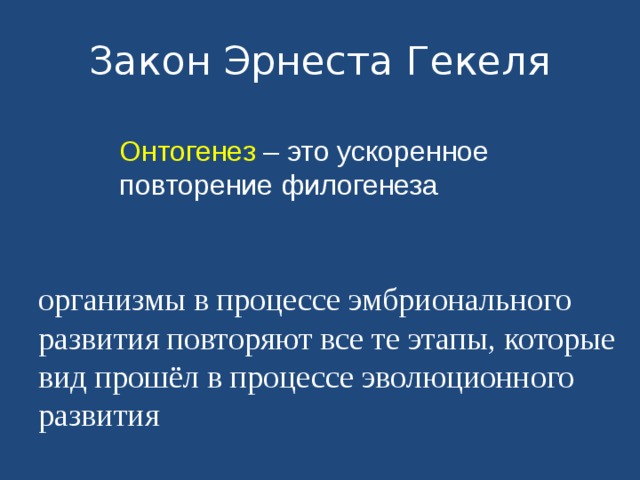Закон Эрнеста Гекеля Онтогенез – это ускоренное повторение филогенеза ор­га­низ­мы в про­цес­се эм­бри­о­наль­но­го раз­ви­тия по­вто­ря­ют все те этапы, ко­то­рые вид про­шёл в про­цес­се эво­лю­ци­он­но­го раз­ви­тия 
