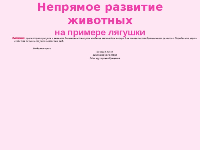 Непрямое развитие животных  на примере лягушки Задание: просмотрите рисунок и выявите доказательства происхождения земноводных от рыб на основе постэмбрионального развития. Определите черты сходства личинок лягушки и взрослых рыб.   Жаберные щели Боковая линия Двухкамерное сердце Один круг кровообращения 
