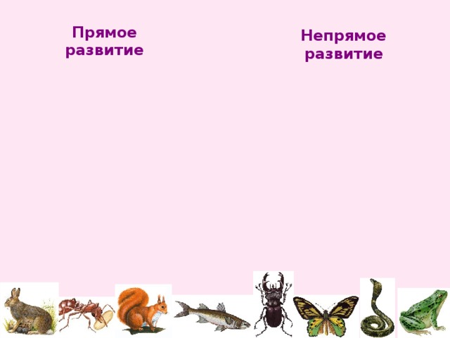 Прямое  развитие Непрямое  развитие 