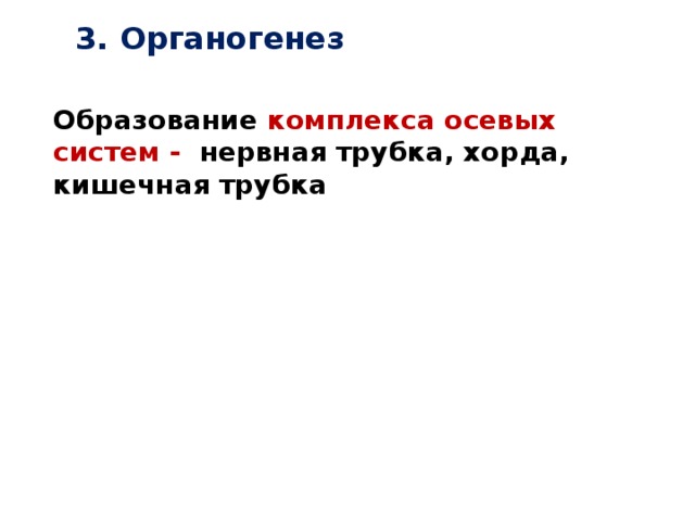 3. Органогенез Образование комплекса осевых систем - нервная трубка, хорда, кишечная трубка 