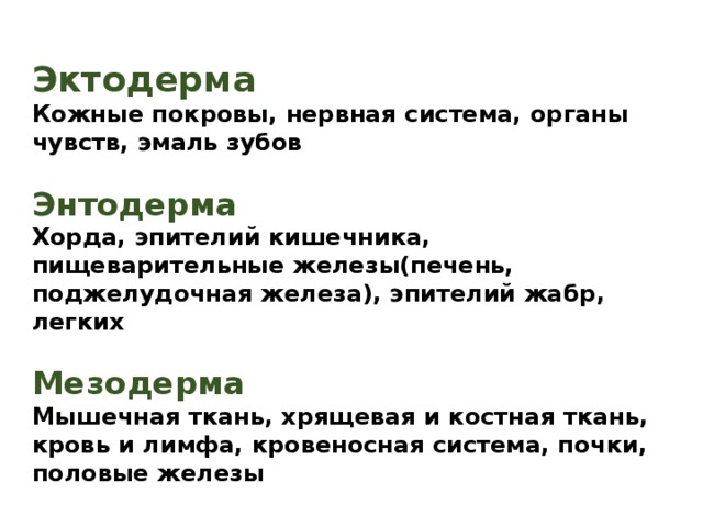Эктодерма Кожные покровы, нервная система, органы чувств, эмаль зубов  Энтодерма Хорда, эпителий кишечника, пищеварительные железы(печень, поджелудочная железа), эпителий жабр, легких  Мезодерма Мышечная ткань, хрящевая и костная ткань, кровь и лимфа, кровеносная система, почки, половые железы  