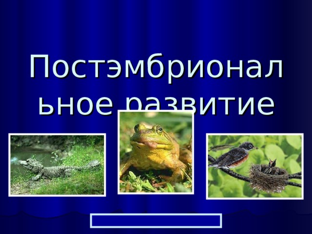 Постэмбриональное развитие 