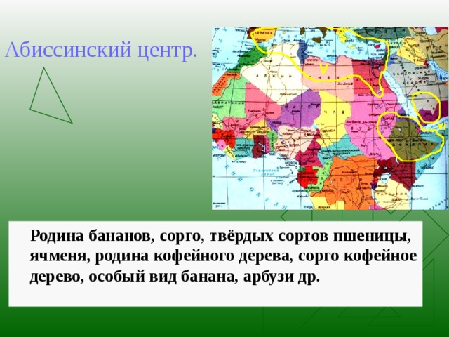 Абиссинский центр.  Родина бананов, сорго, твёрдых сортов пшеницы, ячменя, родина кофейного дерева, сорго кофейное дерево, особый вид банана, арбузи др. 