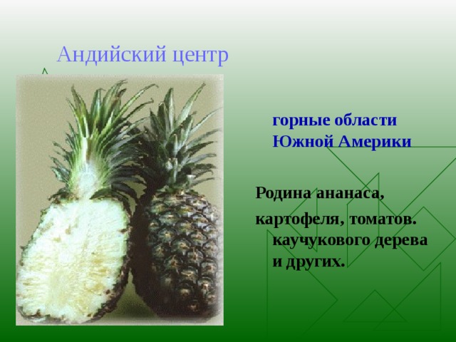 Андийский центр  горные области Южной Америки  Родина ананаса, картофеля, томатов.  каучукового дерева и других.  