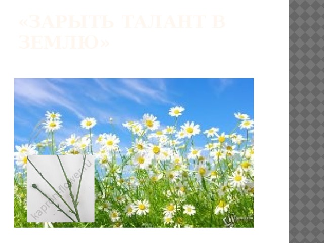 «Зарыть талант в землю» 