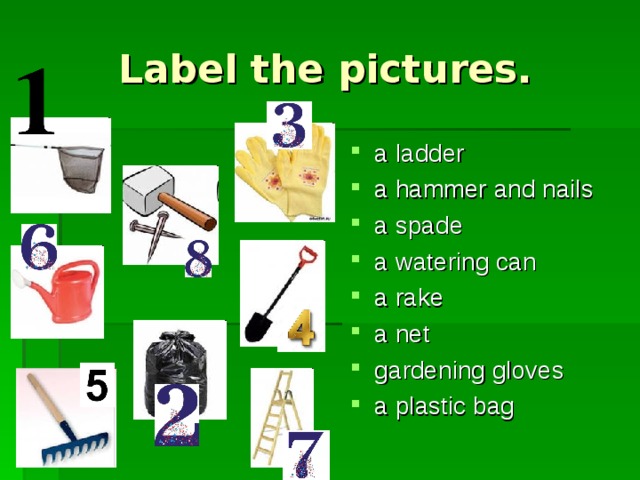 Label the pictures. a ladder a hammer and nails a spade a watering can a rake a net gardening gloves a plastic bag 