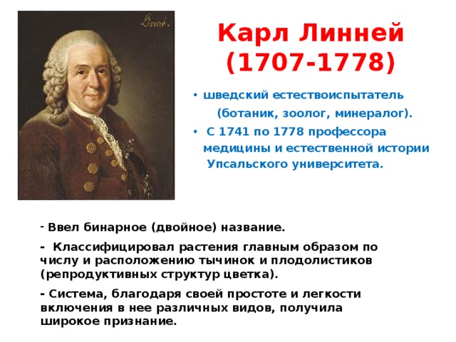 Карл Линней  (1707-1778) шведский естествоиспытатель  (ботаник, зоолог, минералог).  С 1741 по 1778 профессора медицины и естественной истории Упсальского университета.  Ввел бинарное (двойное) название.  - Классифицировал растения главным образом по числу и расположению тычинок и плодолистиков (репродуктивных структур цветка).  - Система, благодаря своей простоте и легкости включения в нее различных видов, получила широкое признание. 