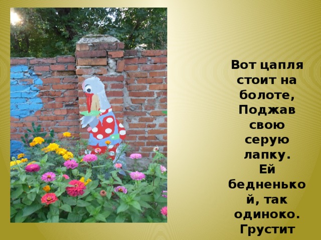 Вот цапля стоит на болоте, Поджав свою серую лапку. Ей бедненькой, так одиноко. Грустит наша цапля-хохлатка. 