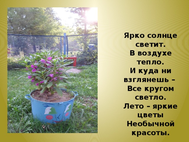 Ярко солнце светит. В воздухе тепло. И куда ни взглянешь – Все кругом светло. Лето – яркие цветы Необычной красоты. 
