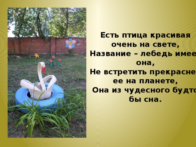 Есть птица красивая очень на свете, Название – лебедь имеет она, Не встретить прекрасней ее на планете, Она из чудесного будто бы сна. 